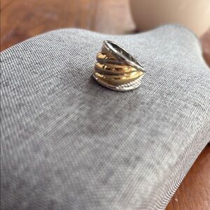 Elegant Two-Tone Ring